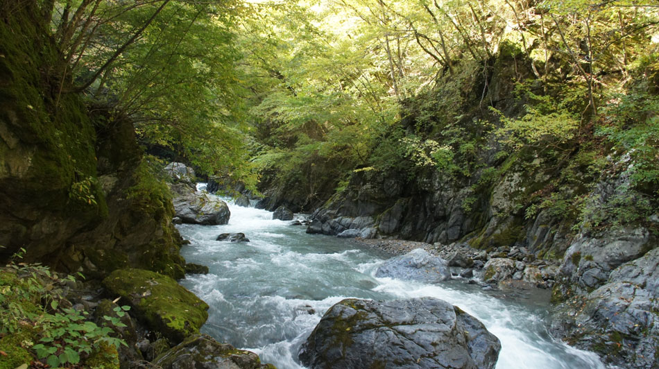 日原川