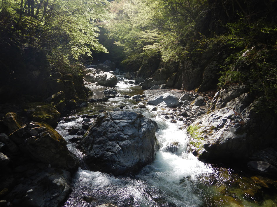 日原川