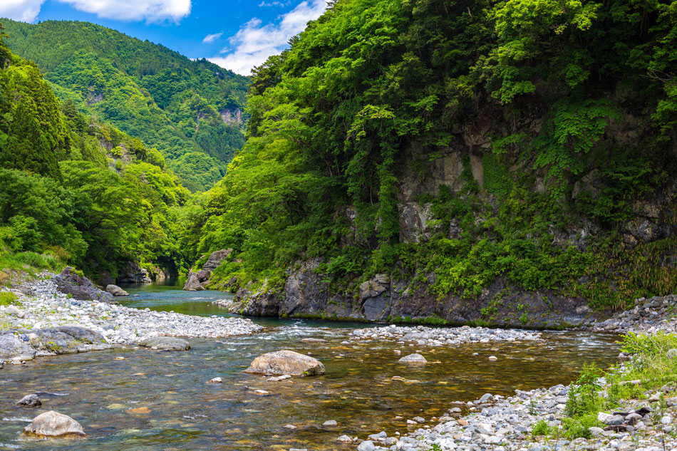 多摩川