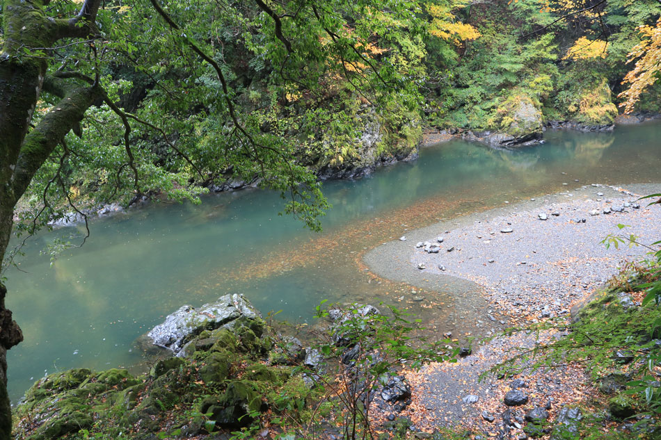 多摩川