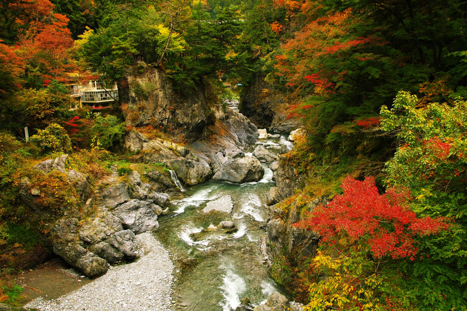 多摩川