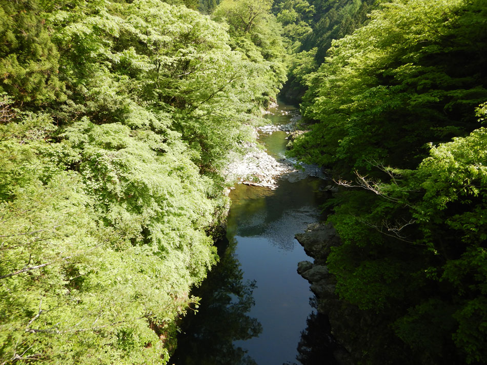 多摩川