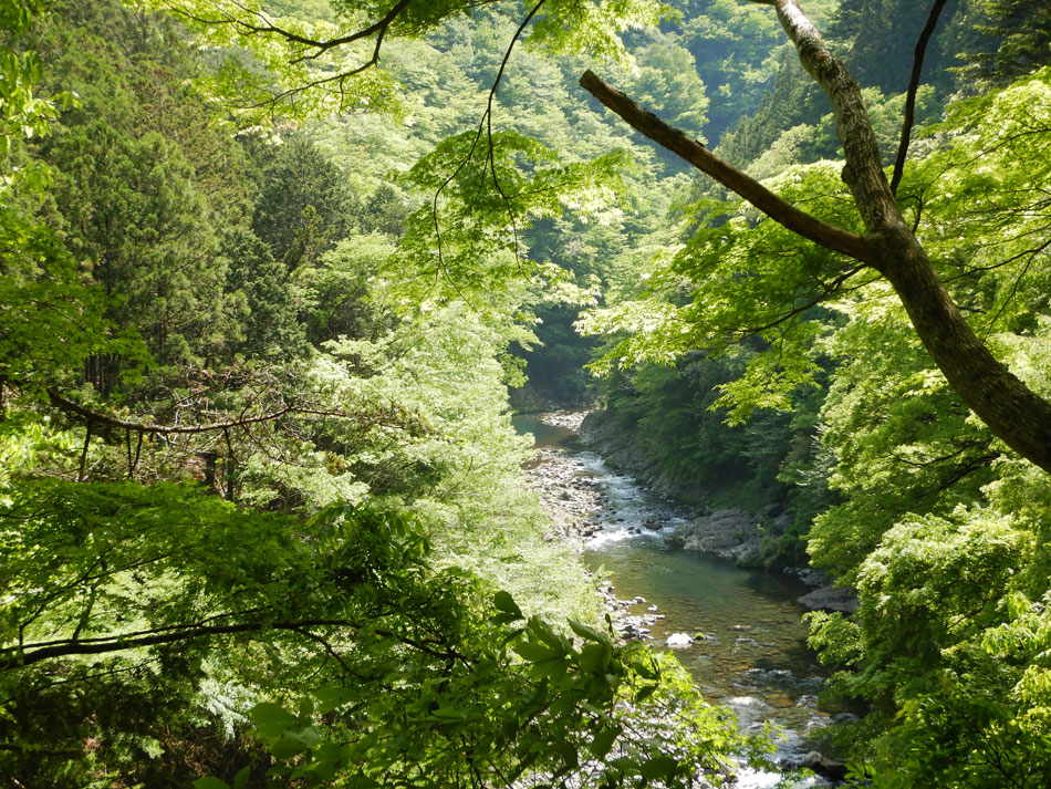 多摩川