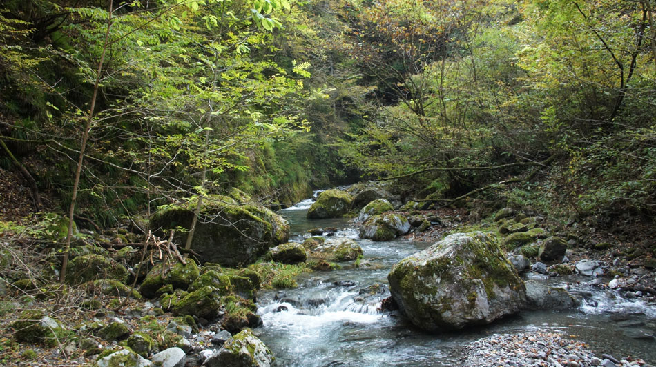 海沢川