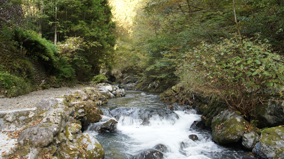 大丹波川