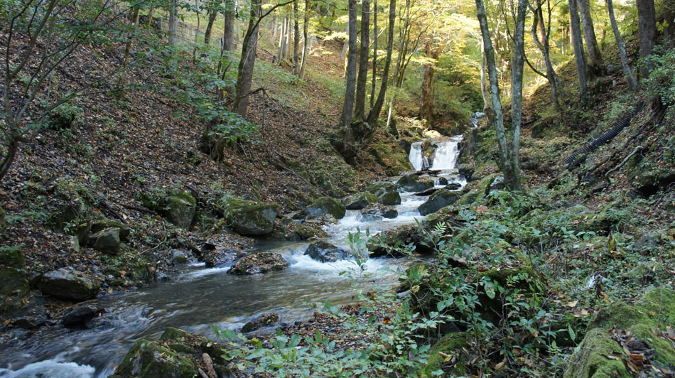 水根沢