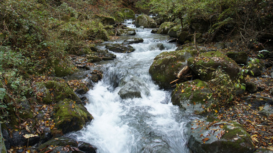 水根沢