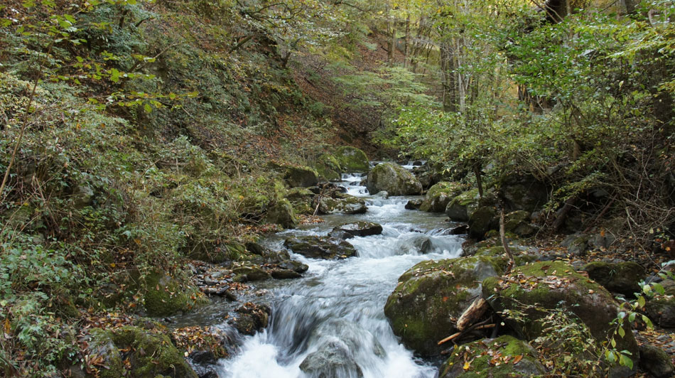 水根沢