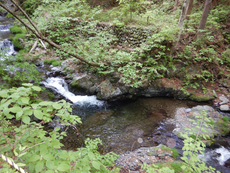 水根沢